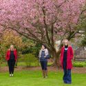 Social Enterprise Dumfries and Galloway team: from left - David Vickers, Diane Laws, Selina McMorran, Laura Douglas, and Stuart Harrison.